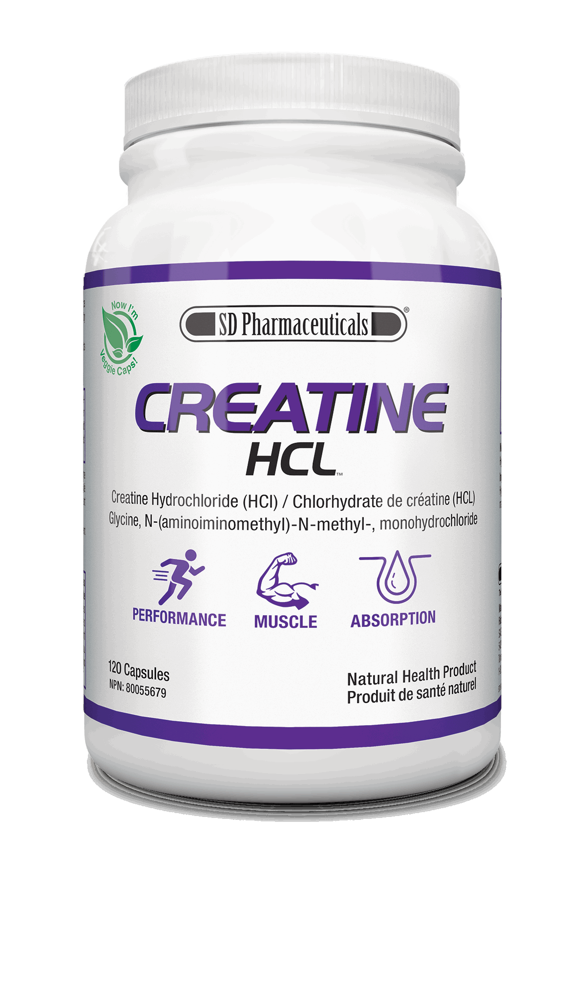 CREATINE HCL POWDER - SD Pharmaceuticals